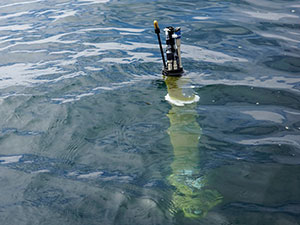 Free-Floating Robots Find Ocean’s Carbon Storage Is Struggling