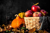 The Pattern of Necessity