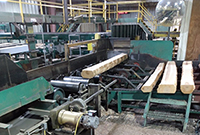 Force Control Eliminates Downtime for Industrial Lumber Sawmill
