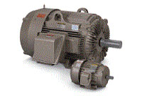 Motors Rated for Severe Duty Service