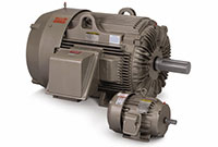Baldor-Reliance® crusher duty motors from ABB
